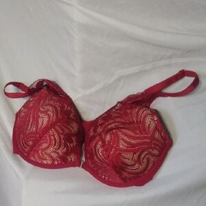 Elegant Red Lace Bra